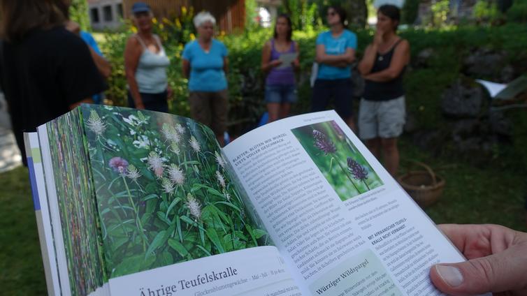 Natur im Garten Naturpark Tiroler Lech Blühendes Österreich