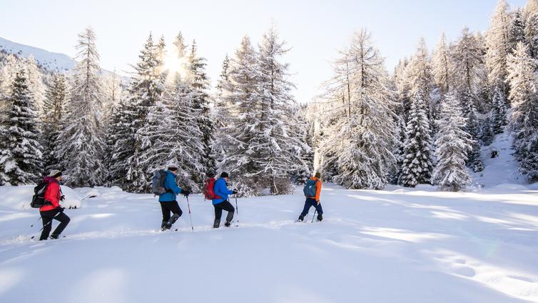 Schneeschuhwanderung Obernberg