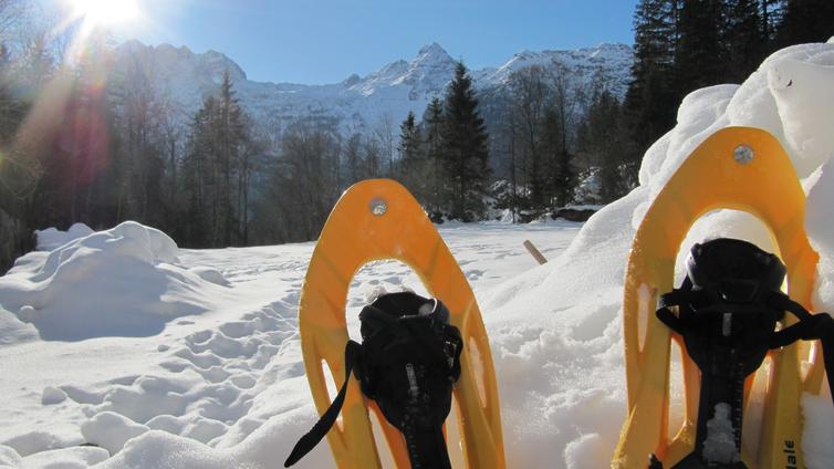 © naturpark weißbach schneeschuhe weißbach
