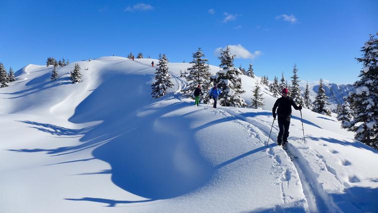 Skitour im Naturpark Weißbach