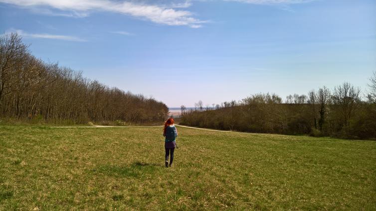 Geführte Wanderungen am Leithaberg 2022