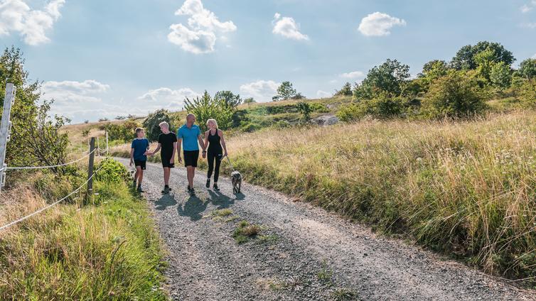 Genusswandern in Purbach