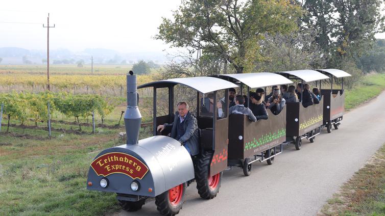 Weinverkostung in den Weinbergen