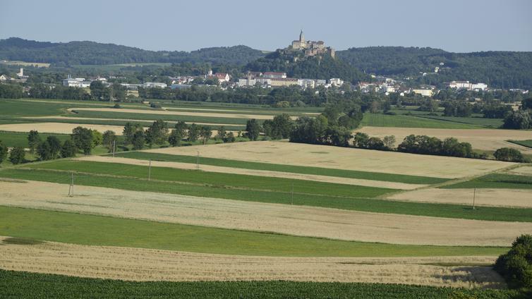 Naturkundliche Wanderung