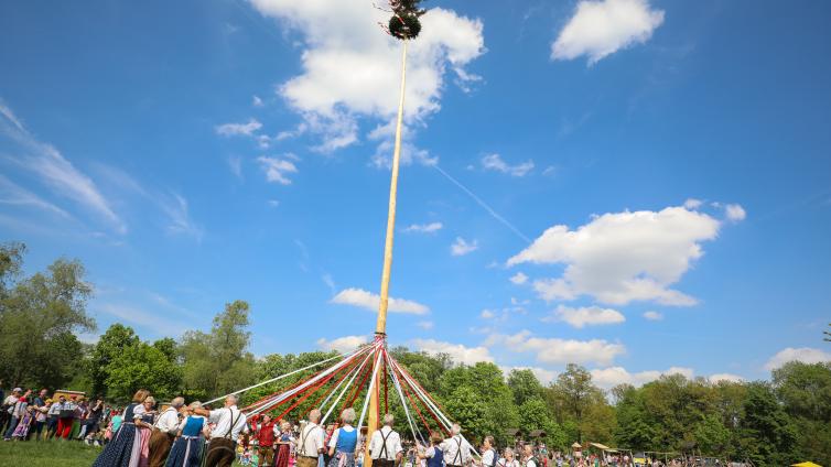 Bandltanz um den Maibaum im Lainzer Tiergarten