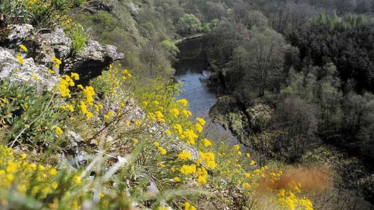 NP Thayatal © Nationalpark Thayatal NP Thayatal