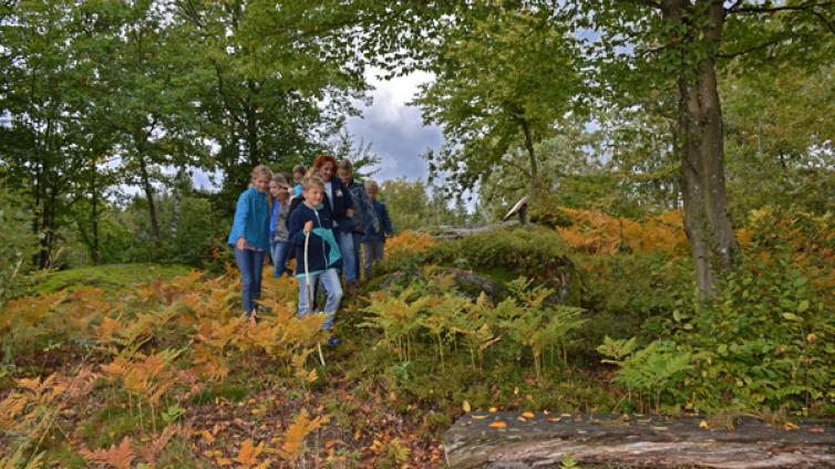 Nachtwanderung © Barbara Derntl NATURSCHAUSPIEL-Tour
