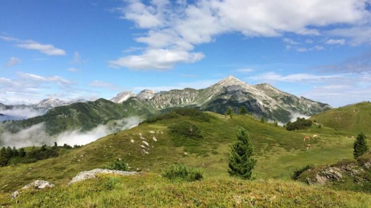 © Clara Leutgeb Twenger Alm