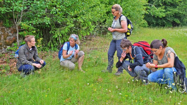 Stoahoat und duftend wild © Barbara Derntl NATURSCHAUSPIEL-Tour