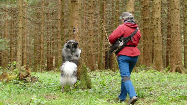 © Heidi Kurz Naturschutzhunde