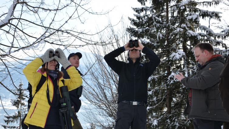 Nature Watch Winter © TVB Region Hall-Wattens Nature Watch Winter
