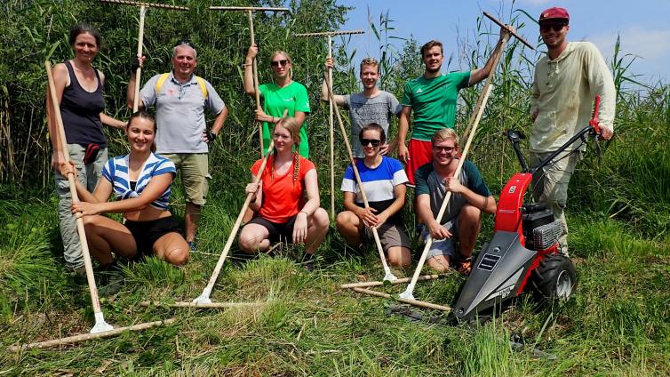 Freiwillige Helfer*innen beim Pflegeeinsatz