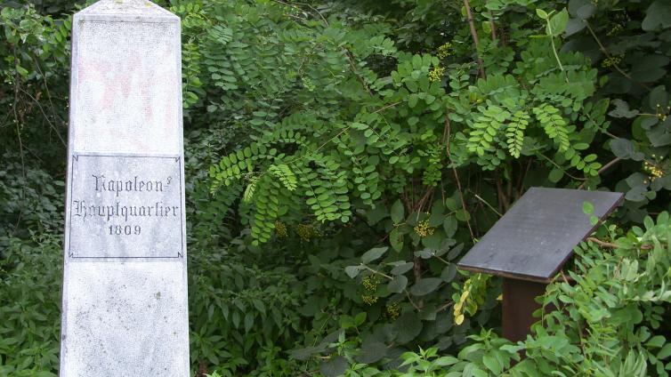 Napoleon-Stein in der Lobau