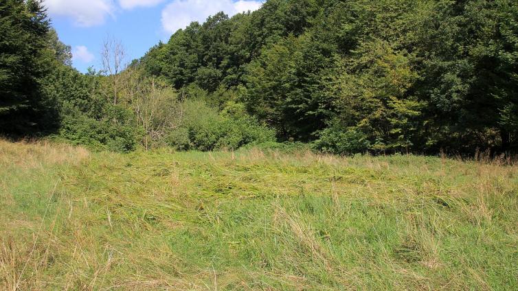Hellwiese Kaltenleutgeben