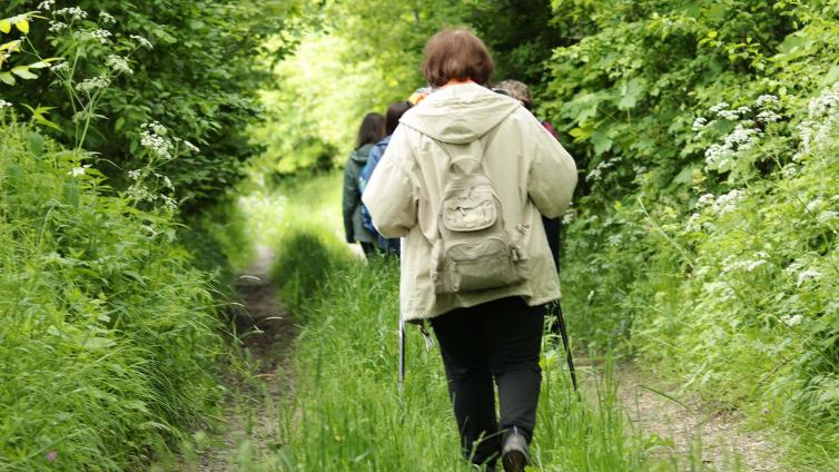 Kräuterwanderung für Schnecken