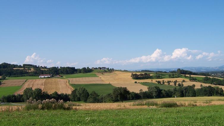 Naturpark-Landschaft