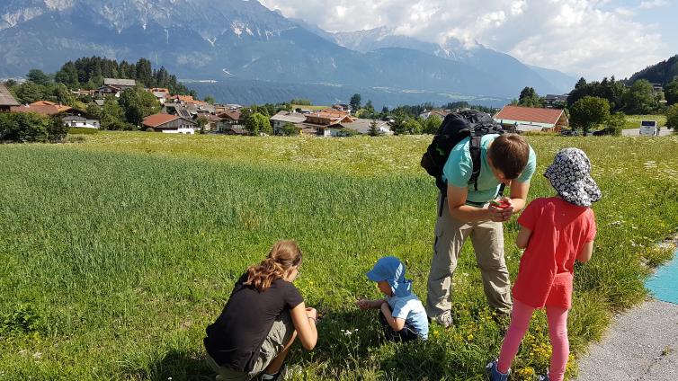 Kräuterwanderung © hall-wattens Kräuterwanderung