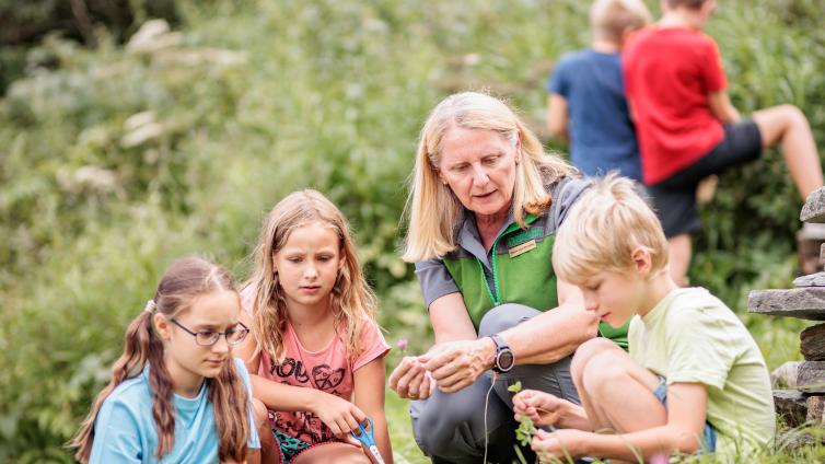 Entdecken Sie die Welt des essbaren Nationalparks