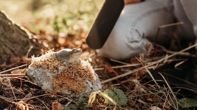 High-Tech Naturforscherin erforscht Amphibien