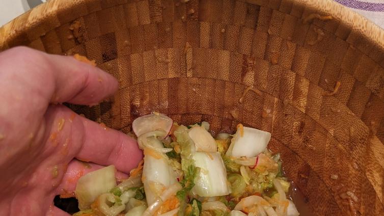 © Christine Grasl Kimchi in Schüssel