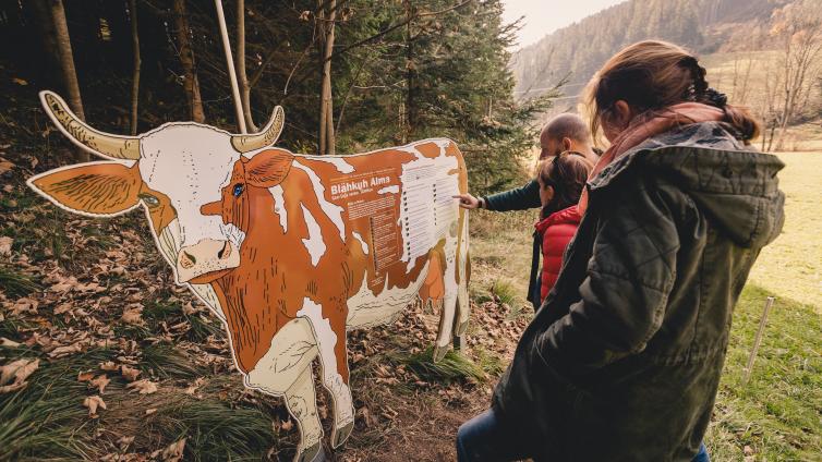 Besucher*innen des Klimawandelwegs bei einer Station
