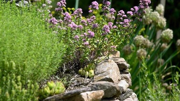 © Natur im Garten Nie wieder gießen