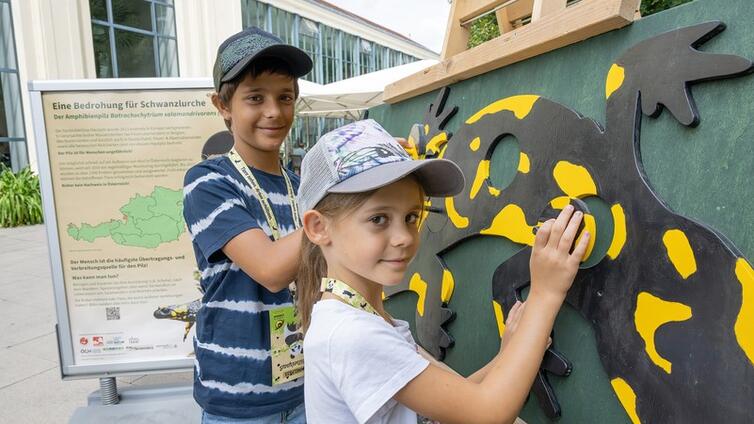 Kinder beim Lösen des Salamander-Holzpuzzles © Daniel Zupanc Zwei Kinder beim Lösen eines Feuersalamander-Holzpuzzles
