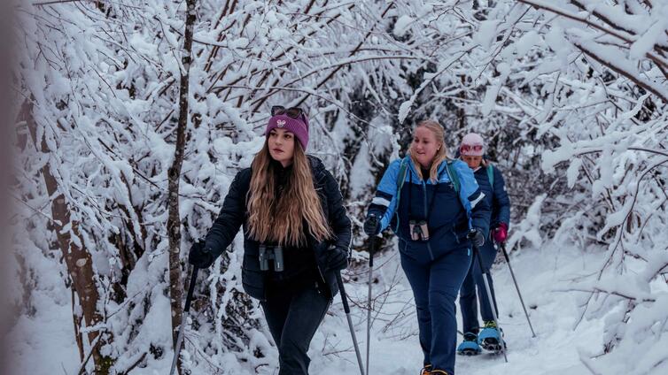 Schneeschuhwandern