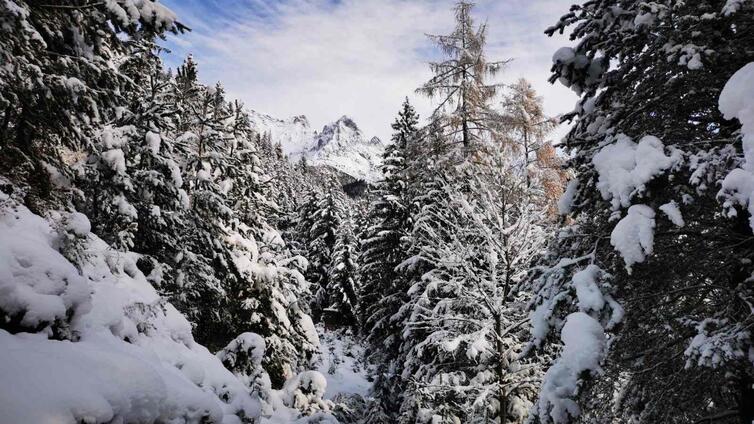Winterbild Gnadenwald
