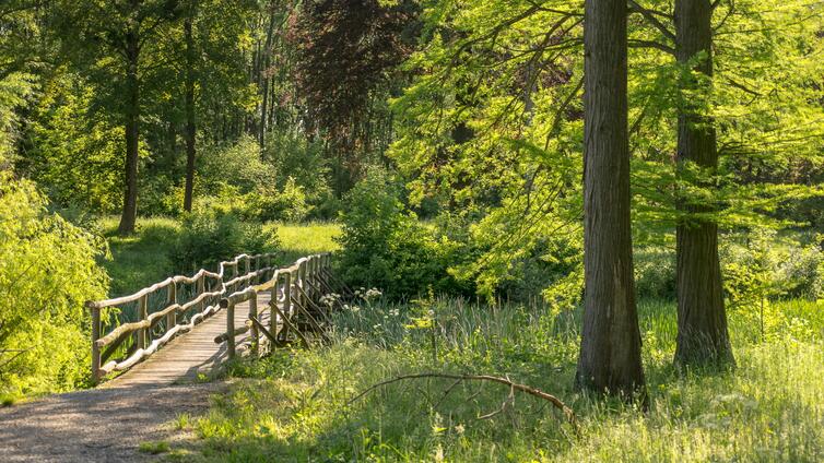 Schlosspark Eckartsau