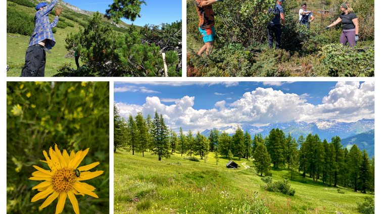 Wir unterstützen die Landwirt:innen dabei die Lärchenwiesen und Bergmähder zu erhalten und genießen die wunderschöne, artenreiche Kulturlandschaft