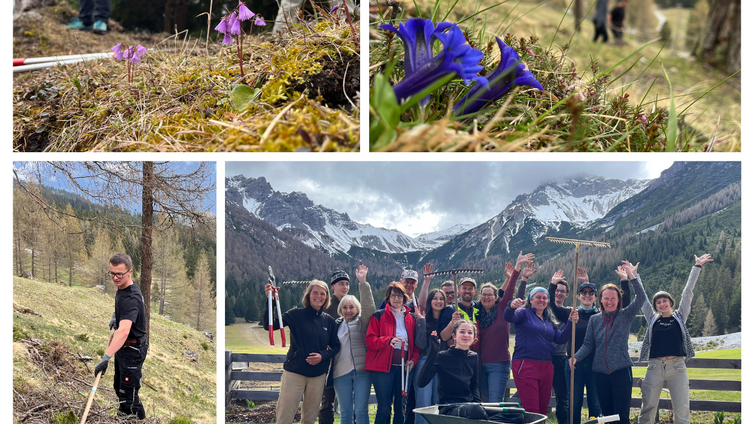 Wir unterstützen die Landwirt:innen dabei die Almen, Lärchenwiesen und Bergmähder zu erhalten und genießen die wunderschöne, artenreiche Kulturlandschaft