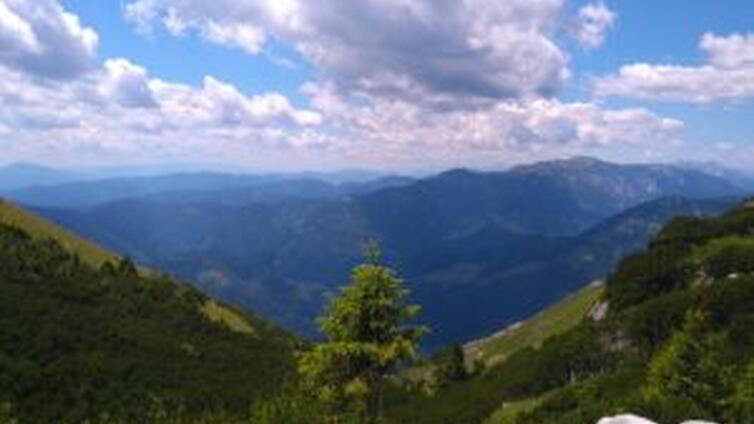 Almausblick