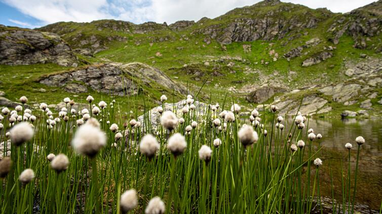 Tour 31 - Halspitz und Rastkogelsee