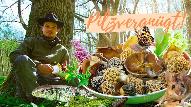 Pilzvergnügt