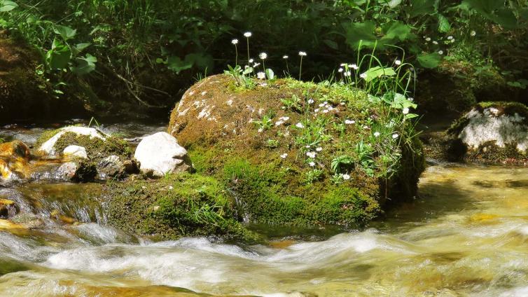 4-glemmbachklamm-c-Kufsteinerland.jpg © Kufsteinerland 4 glemmbachklamm