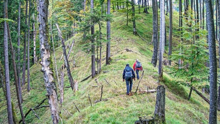 am-weg-zur-waldwildnis-c-euopean-wilderness-society-1.jpg © euopean-wilderness-society-1 am weg zur waldwildnis