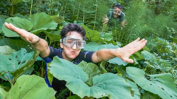 auf-tauchgang-im-waldmeer-c-daniela-stockinger-1.jpg © daniela-stockinger-1 auf tauchgang im waldmeer