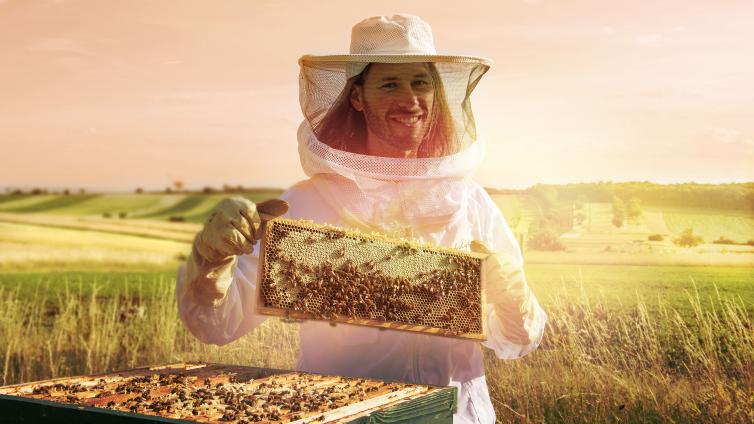 Bienen und Honig-c-Simon Tötschinger.jpg © Simon Tötschinger Bienen und Honig
