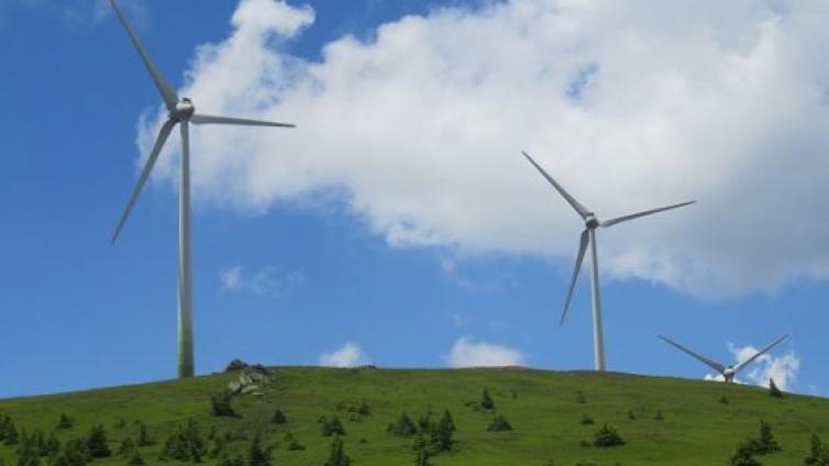 Bürstling, Endemiten, Windräder auf der Koralpe   passt das zusammen