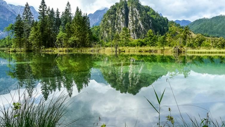 die-geheimnisse-von-wald-und-wasser-c-peter-uebleis-1.jpg © peter-uebleis-1 die geheimnisse von wald und wasser