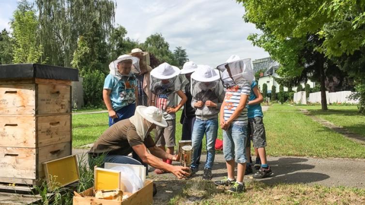 die-wilden-stadtbienen-c-katja-hintersteiner-1.jpg © katja-hintersteiner-1 die wilden stadtbienen