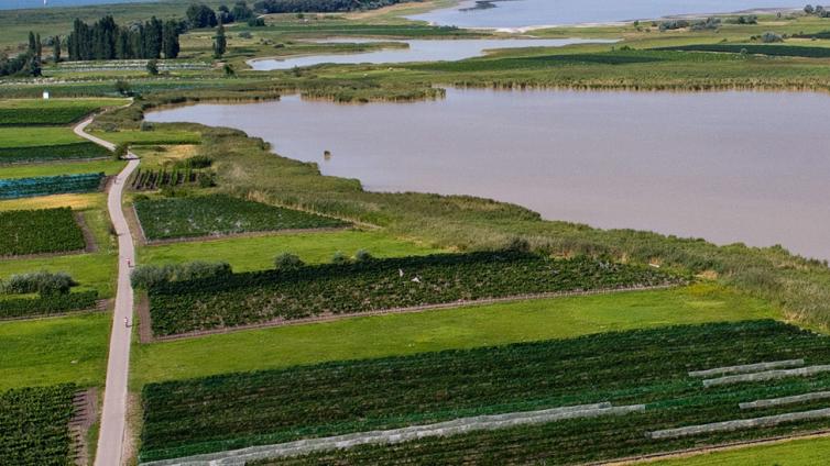 Die Seewinkellacken-c-www.aufsichten.com.jpg © www.aufsichten.com Die Seewinkellacken