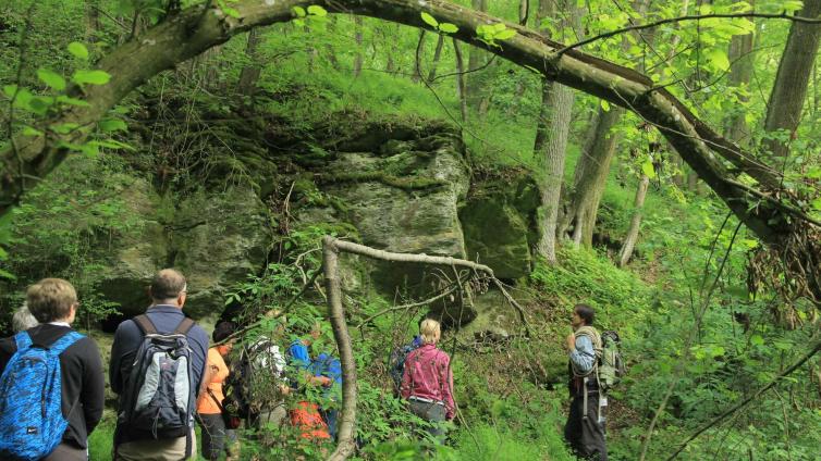 Ein Wochenende in der Wildnis