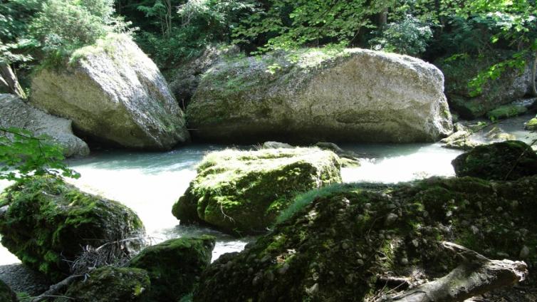 Erlaufschlucht-c-nbnö.jpg © nbnö Erlaufschlucht
