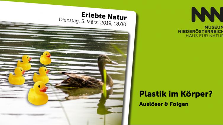 Erlebte Natur Plastik im Körper