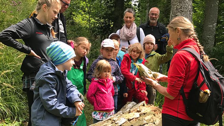 Beste Spielothek in Rosenau am Hengstpass finden Beste Spielothek in Rosenau am Hengstpass finden