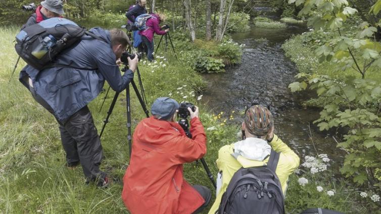 Fotowanderung im Nationalpark Licht und Schatten