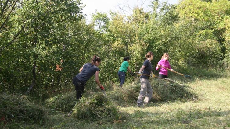 Green-Belt-Work-Camp-Nördliches-Weinviertel-c-GabrielePfundner.jpg © GabrielePfundner Green Belt Work Camp Nördliches Weinviertel