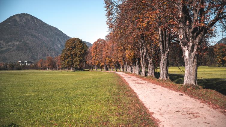 herbst kufsteinerland (26)